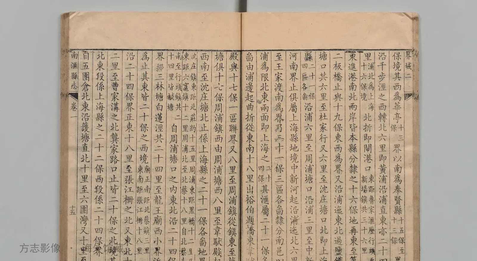 分建南汇县新志书影