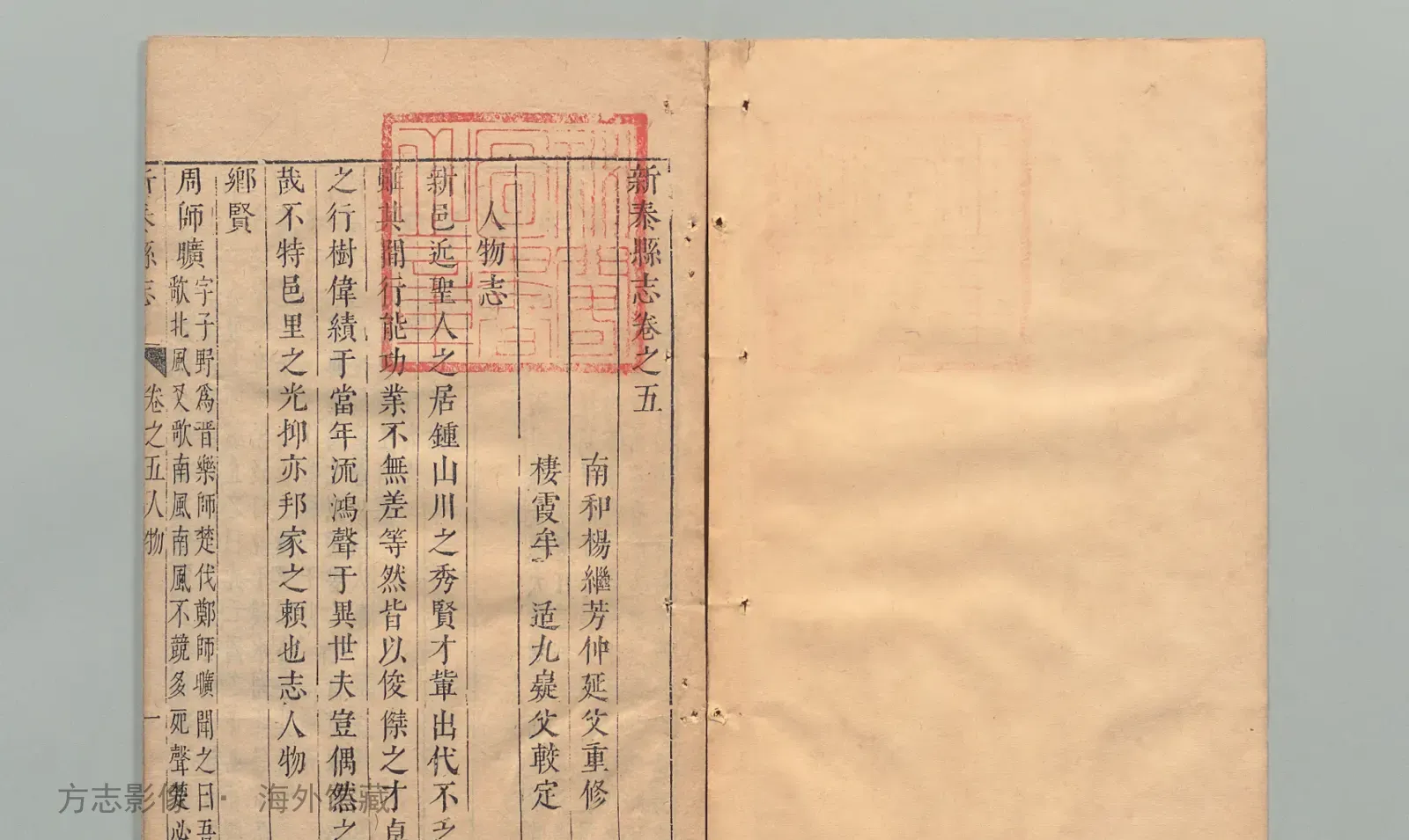 新泰县志·山东书影