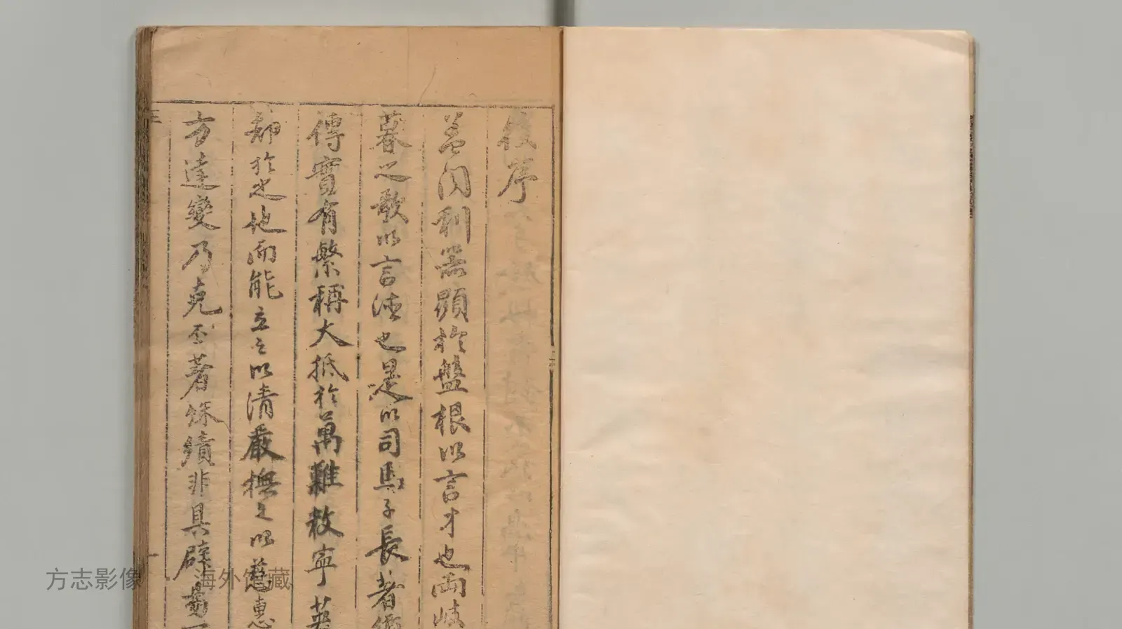 松阳县志书影