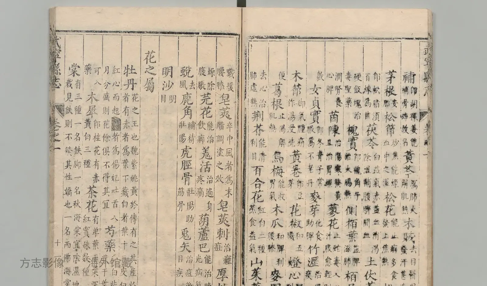 武宁县志·江西书影