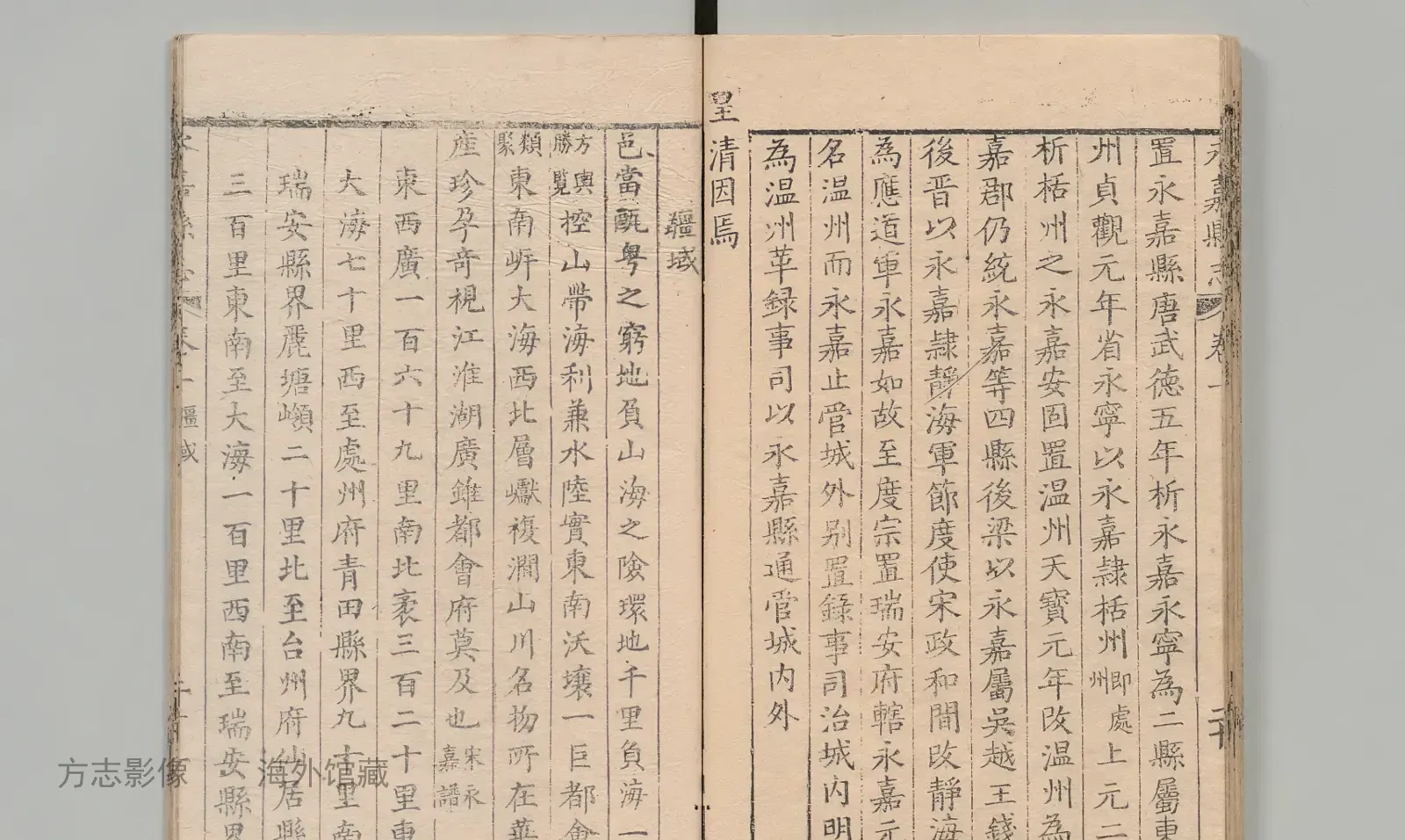 永嘉县志·浙江书影
