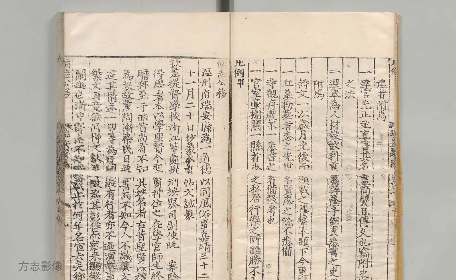 瑞安县志书影