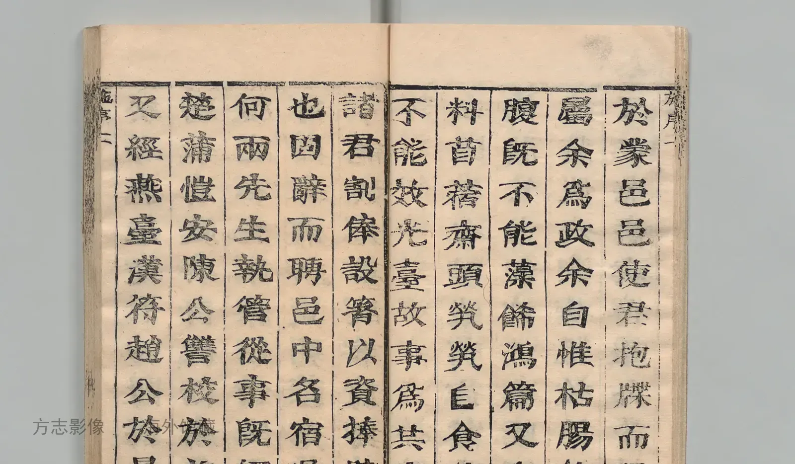 蒙城县志·安徽书影