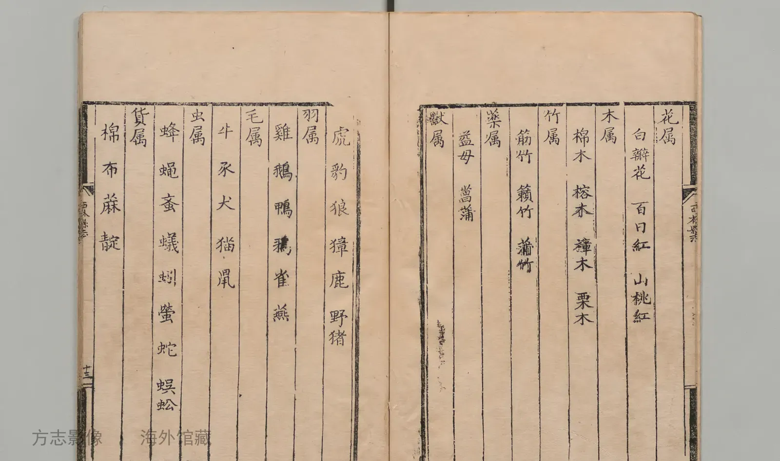 西林县志书影