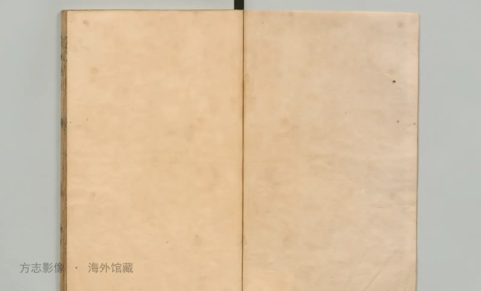 长兴县志书影