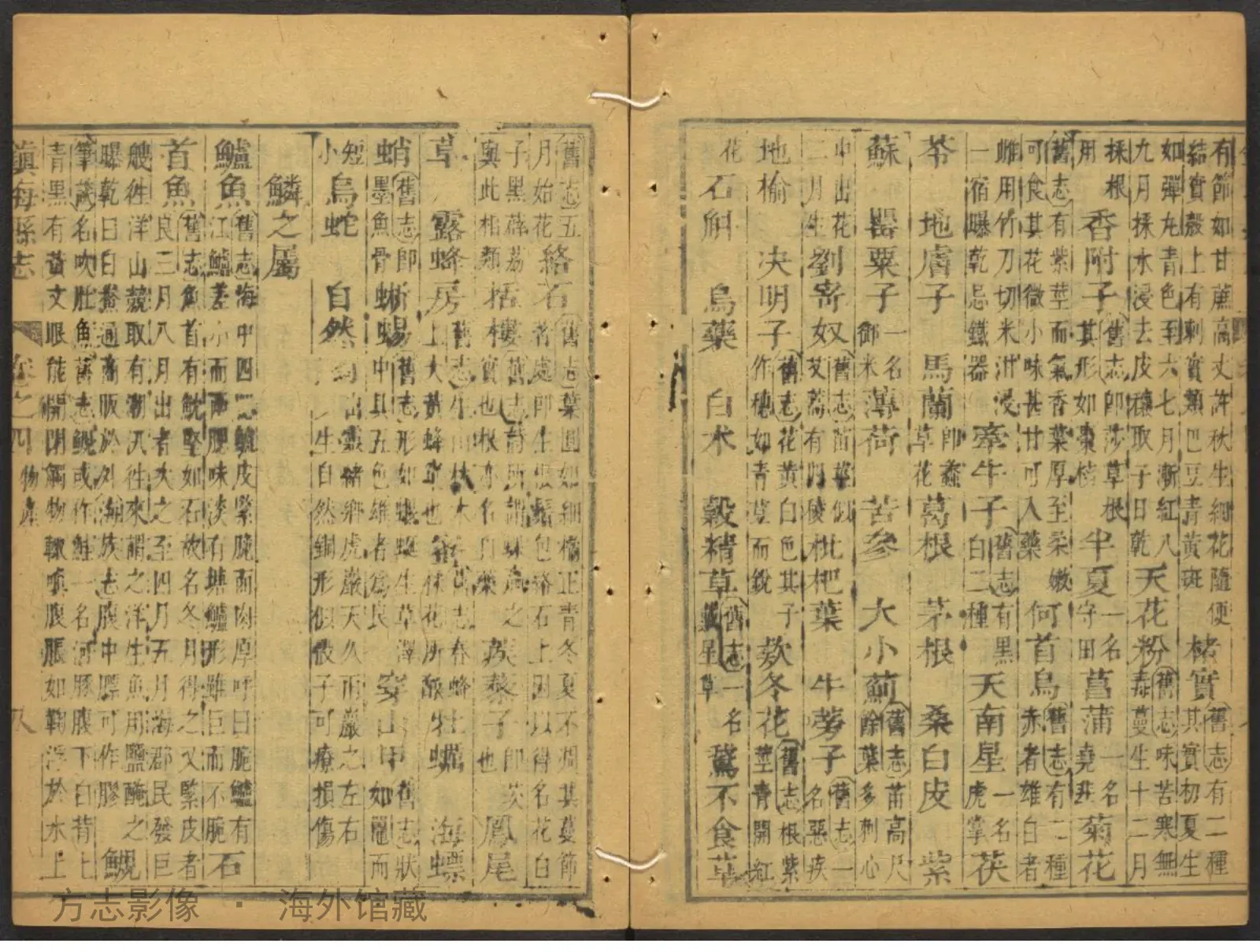 重刋震泽县志首书影